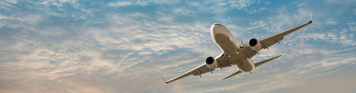 Cheerleaders holding flags spelling Gamecocks and one large flag with athletic gamecock logo
